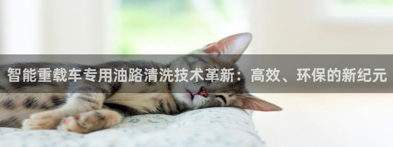 恒达娱乐辉70667：智能重载车专用油路清洗技术革新：高效、