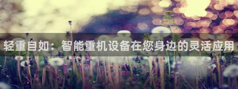 辉达娱乐最新消息新闻：轻重自如：智能重机设备在您身边的灵活应