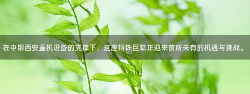 专业辉达娱乐平台：在中钢西安重机设备的支撑下，这座钢铁巨擘正
