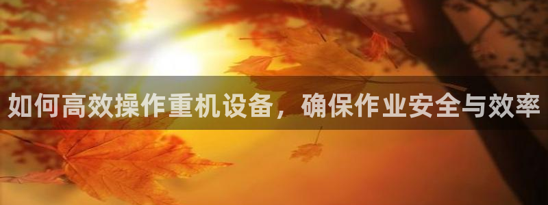 辉达平台官网登录：如何高效操作重机设备，确保作业安全与效率