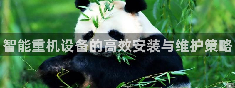 正规辉达娱乐在线游戏：智能重机设备的高效安装与维护策略