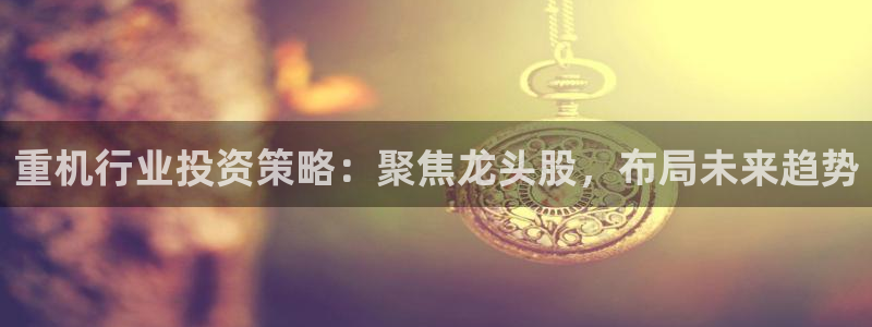 辉达娱乐电子游艺：重机行业投资策略：聚焦龙头股，布局未来趋势