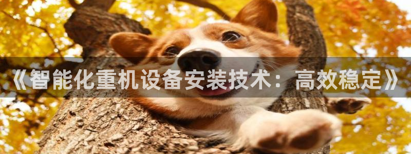 辉达娱乐开户注册：《智能化重机设备安装技术：高效稳定》