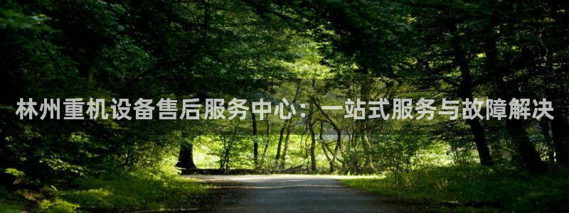 辉达娱乐电子：林州重机设备售后服务中心：一站式服务与故障解决