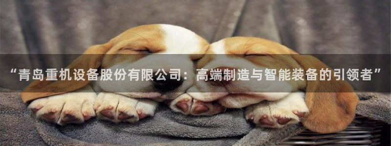 辉达娱乐可靠：“青岛重机设备股份有限公司：高端制造与智能装备
