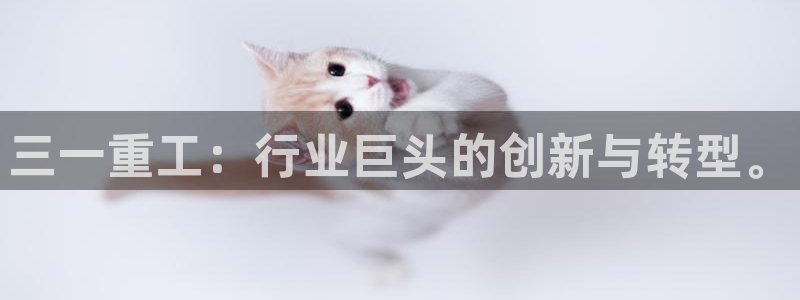 辉达娱乐丶75505：三一重工：行业巨头的创新与转型。