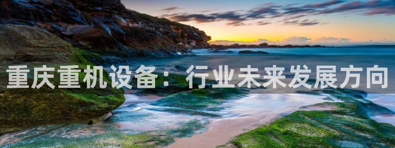 信誉辉达娱乐官方网址：重庆重机设备：行业未来发展方向