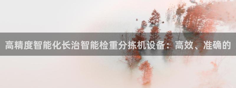 辉达娱乐电子游艺：高精度智能化长治智能检重分拣机设备：高效、