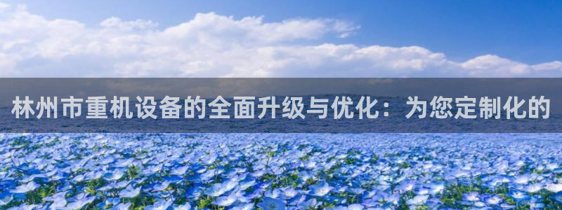 辉达娱乐丿75505