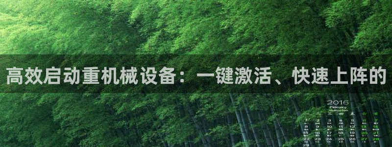 辉达娱乐加扣75775