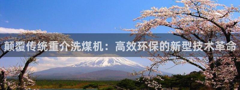 辉达平台官网网站：颠覆传统重介洗煤机：高效环保的新型技术革命