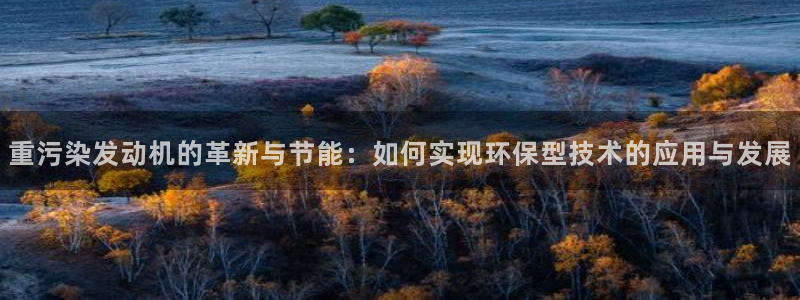 辉达娱乐丶39444：重污染发动机的革新与节能：如何实现环保