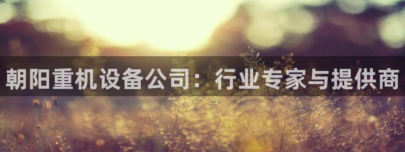 正规辉达娱乐平台：朝阳重机设备公司：行业专家与提供商