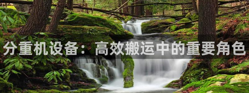 辉达娱乐app：分重机设备：高效搬运中的重要角色