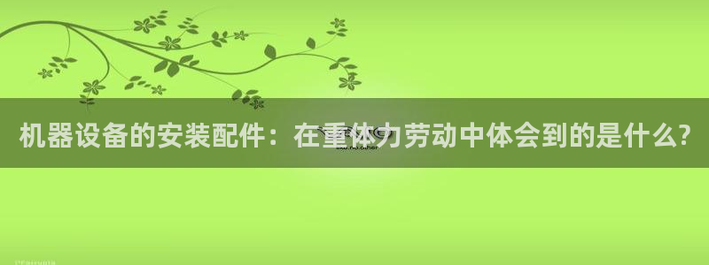 辉达娱乐丶75505：机器设备的安装配件：在重体力劳动中体会