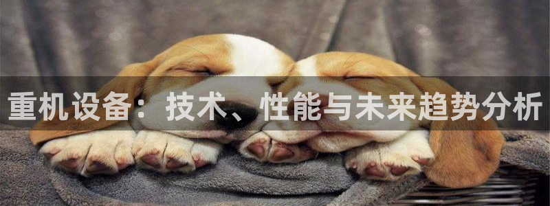 专业辉达娱乐平台