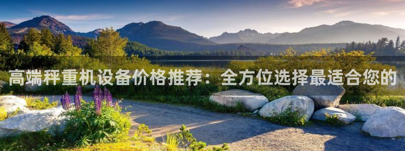 辉达娱乐加扣75775