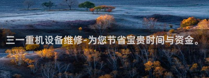 辉达官网登录入口入口