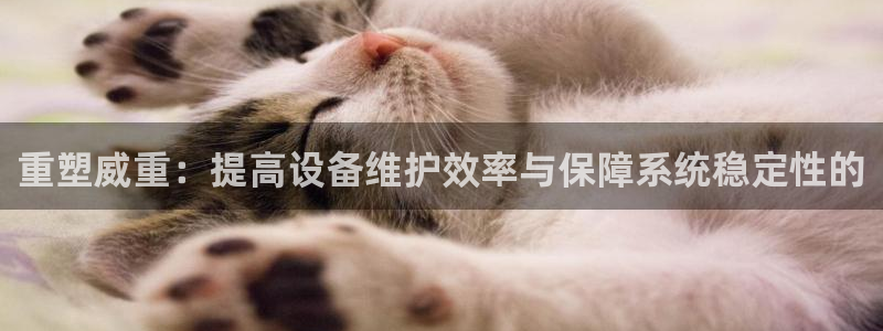 辉达娱乐五39444