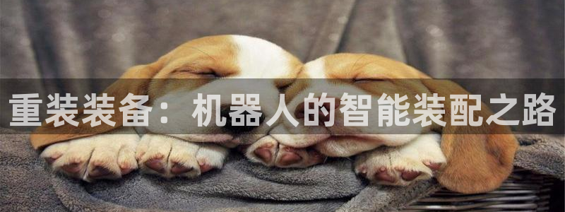 辉达娱乐最新消息新闻