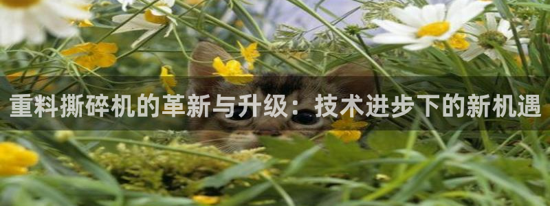 辉达娱乐排列三