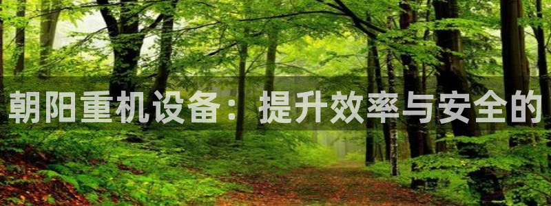 菲律宾辉达娱乐