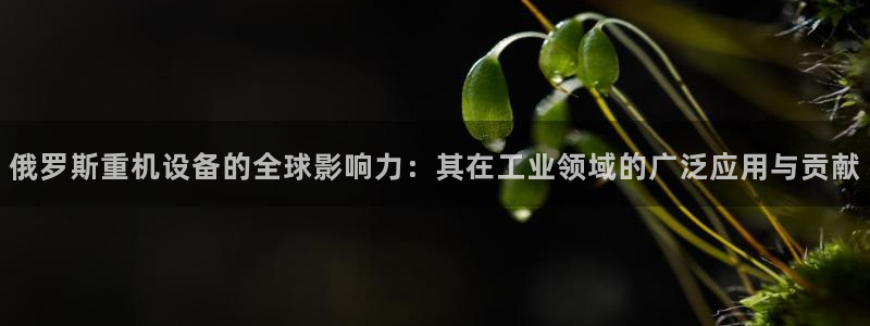 辉达娱乐丶75505