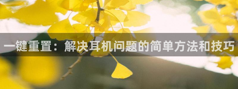 辉达平台注册入口