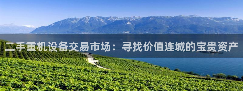 辉达娱乐加q75775稳定