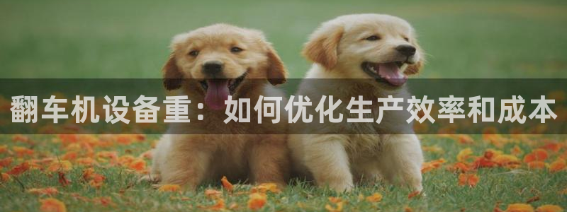 辉达娱乐ag游戏平台