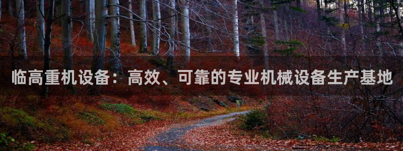 恒达娱乐辉70667