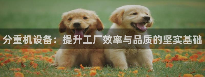 辉达娱乐官方网址