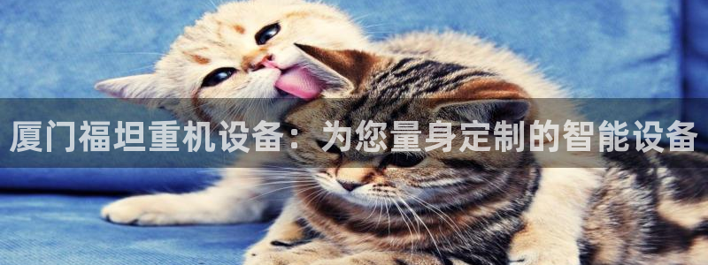 龙腾辉达电子娱乐