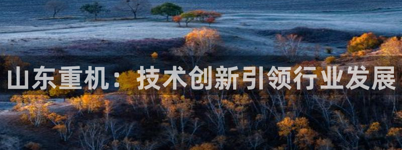 辉达娱乐丿75505