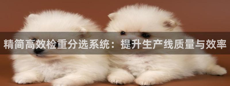 辉达娱乐电子游艺