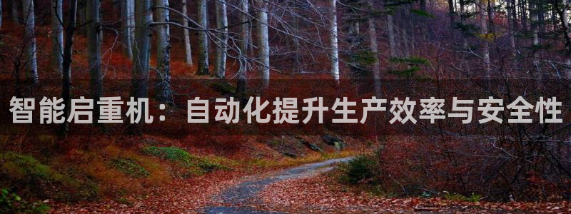 辉达娱乐线路检测