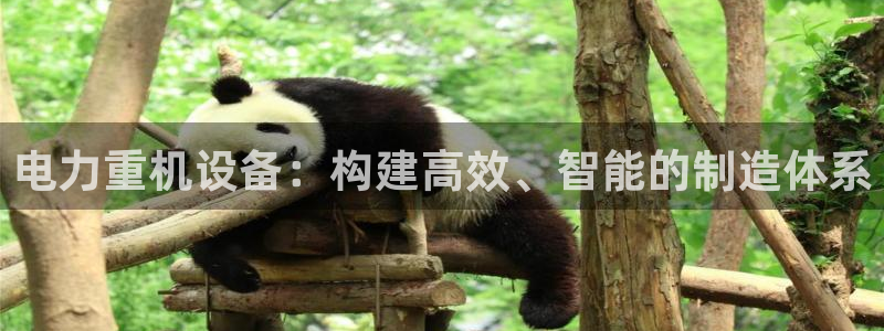 代理辉达娱乐官方网址