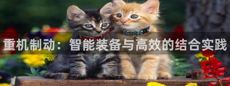 辉达娱乐线路检测