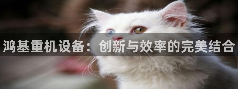 龙腾辉达电子娱乐