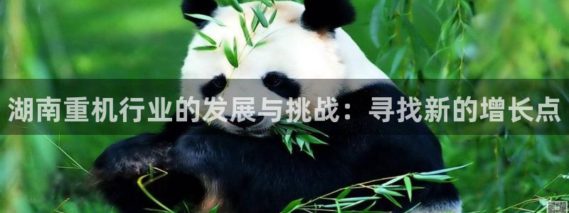 龙腾辉达电子娱乐