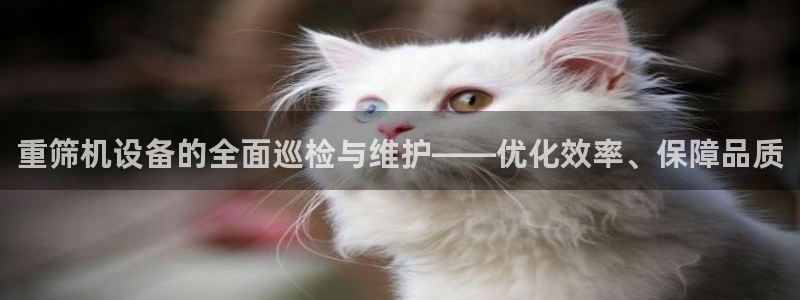 信誉辉达娱乐在线游戏