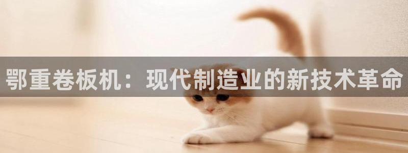 专业辉达娱乐平台