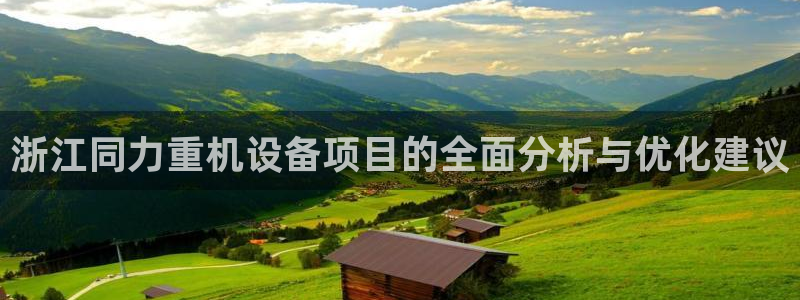 专业辉达娱乐在线游戏：浙江同力重机设备项目的全面分析与优化建