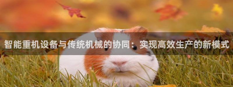 辉达娱乐丶75505