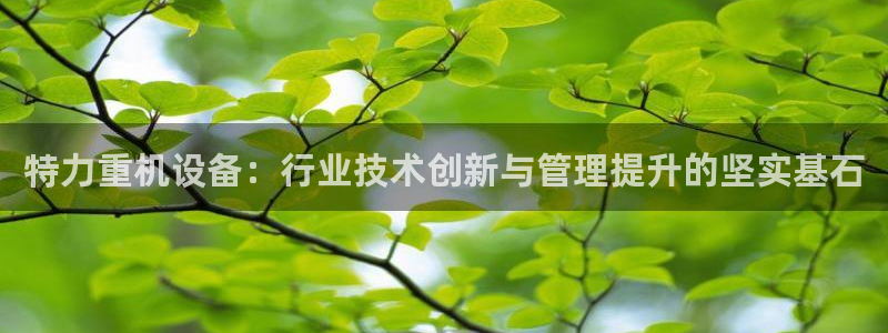 代理辉达娱乐开户注册：特力重机设备：行业技术创新与管理提升的