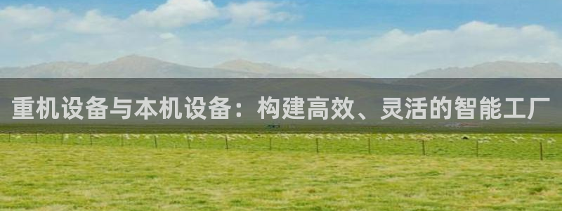 辉达娱乐多少年