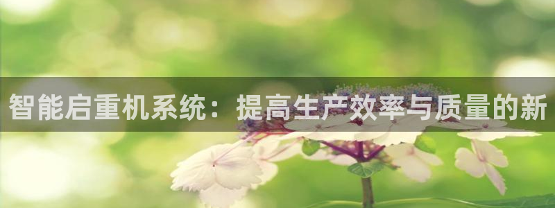 辉达怎么样：智能启重机系统：提高生产效率与质量的新