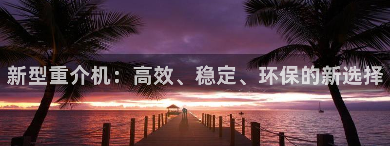 辉达平台官网网站：新型重介机：高效、稳定、环保的新选择