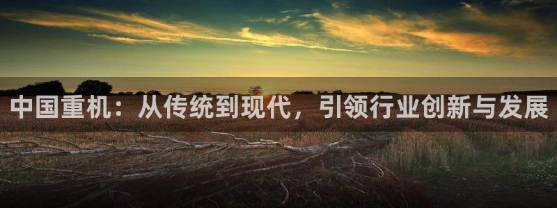 龙腾辉达电子娱乐