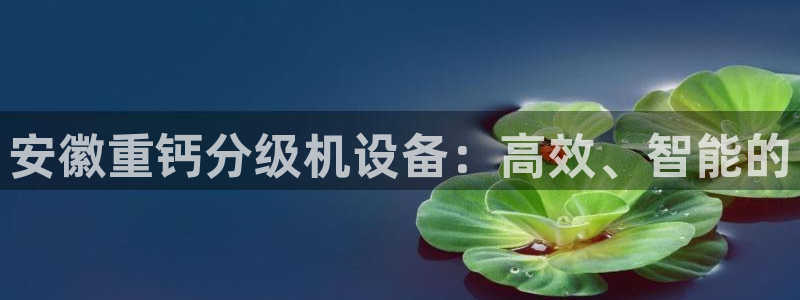 辉达娱乐计划软件：安徽重钙分级机设备：高效、智能的